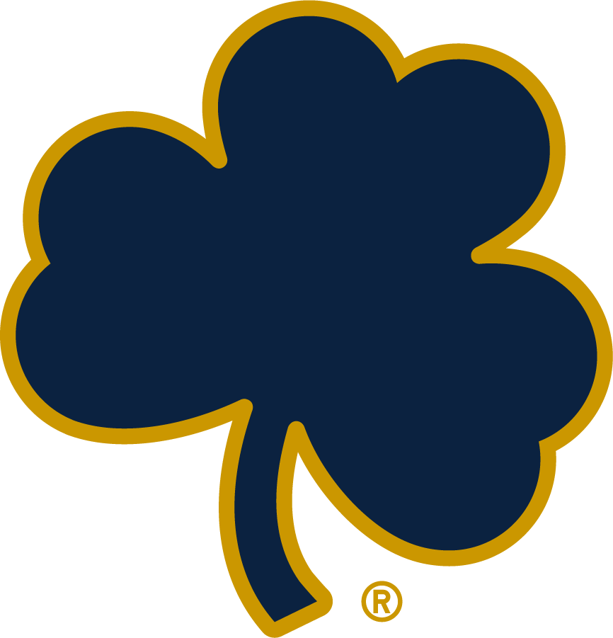 Notre Dame Fighting Irish 2015-Pres Secondary Logo v4 DIY iron on transfer (heat transfer)